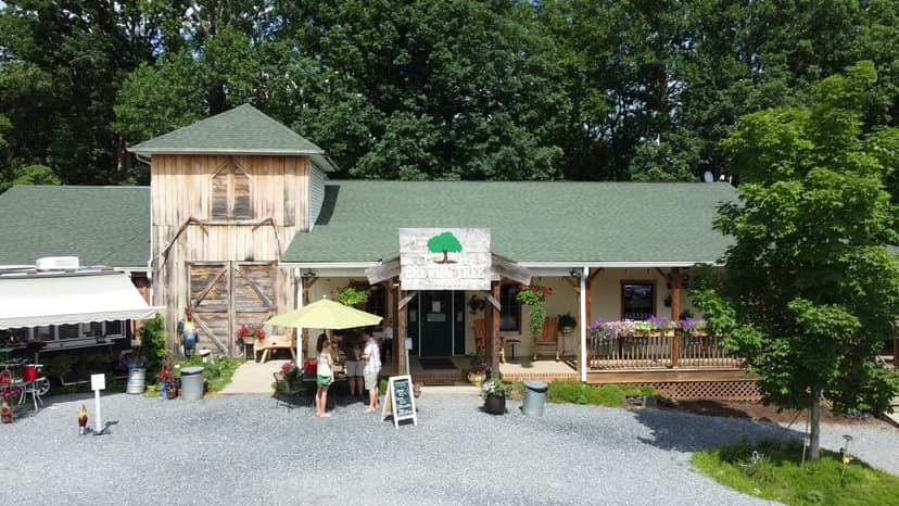 Brewing Tree Beer Company