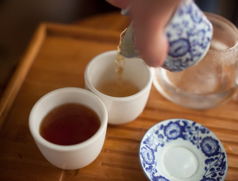 Twisted Branch Tea Bazaar