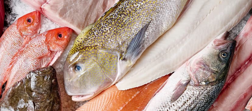 Shoreline Seafood Market